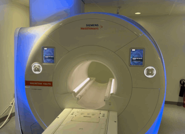 Siemens Vida Fit 3T - 2012