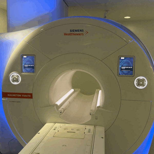 Siemens Vida Fit 3T - 2012